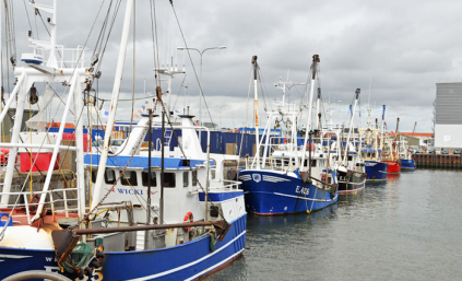 Kuttere i Esbjerg havn 