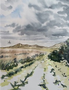 Vadehavets natur i streg og farve 